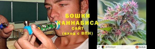 PSILOCYBIN Мегион