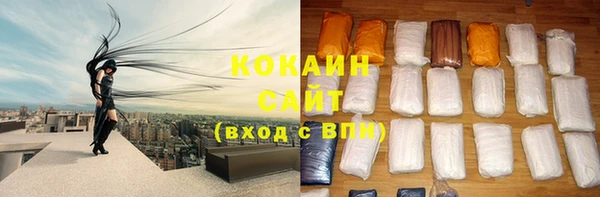 СК Медвежьегорск