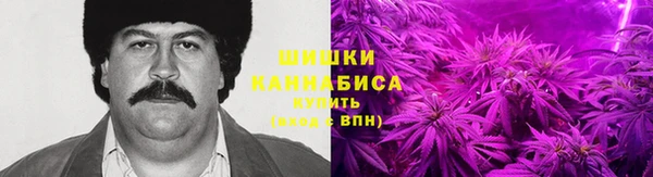PSILOCYBIN Мегион