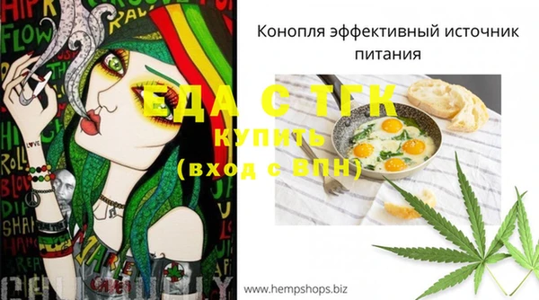 СК Медвежьегорск