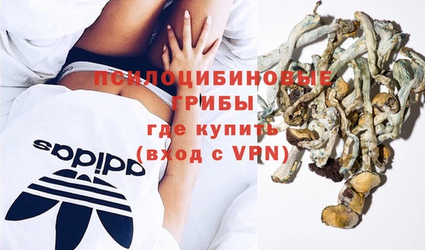 СК Медвежьегорск