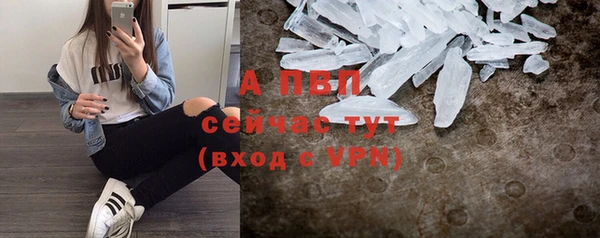 СК Медвежьегорск