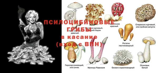 PSILOCYBIN Мегион