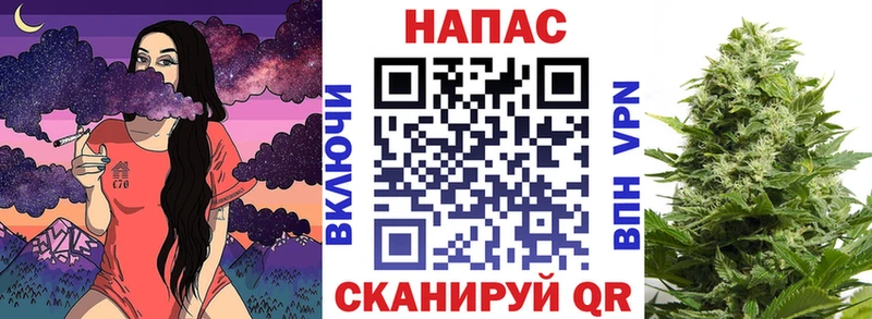 Бошки марихуана сатива  как найти закладки  Артём 